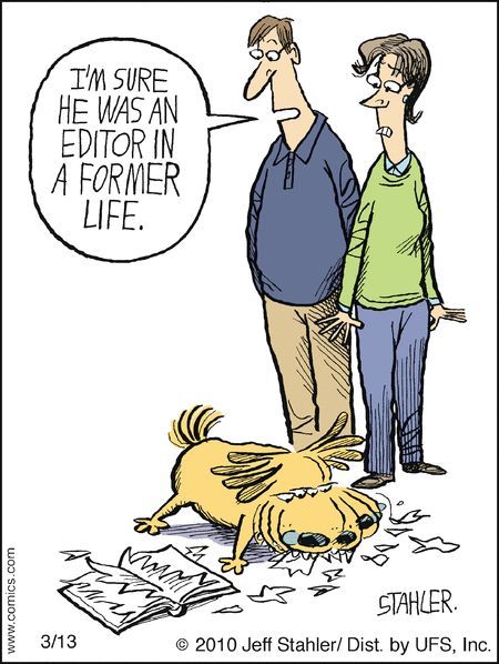 Sometimes it seems like…