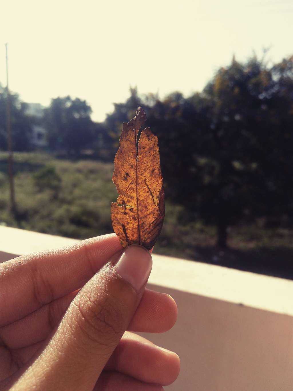 Aesthetics Of October!