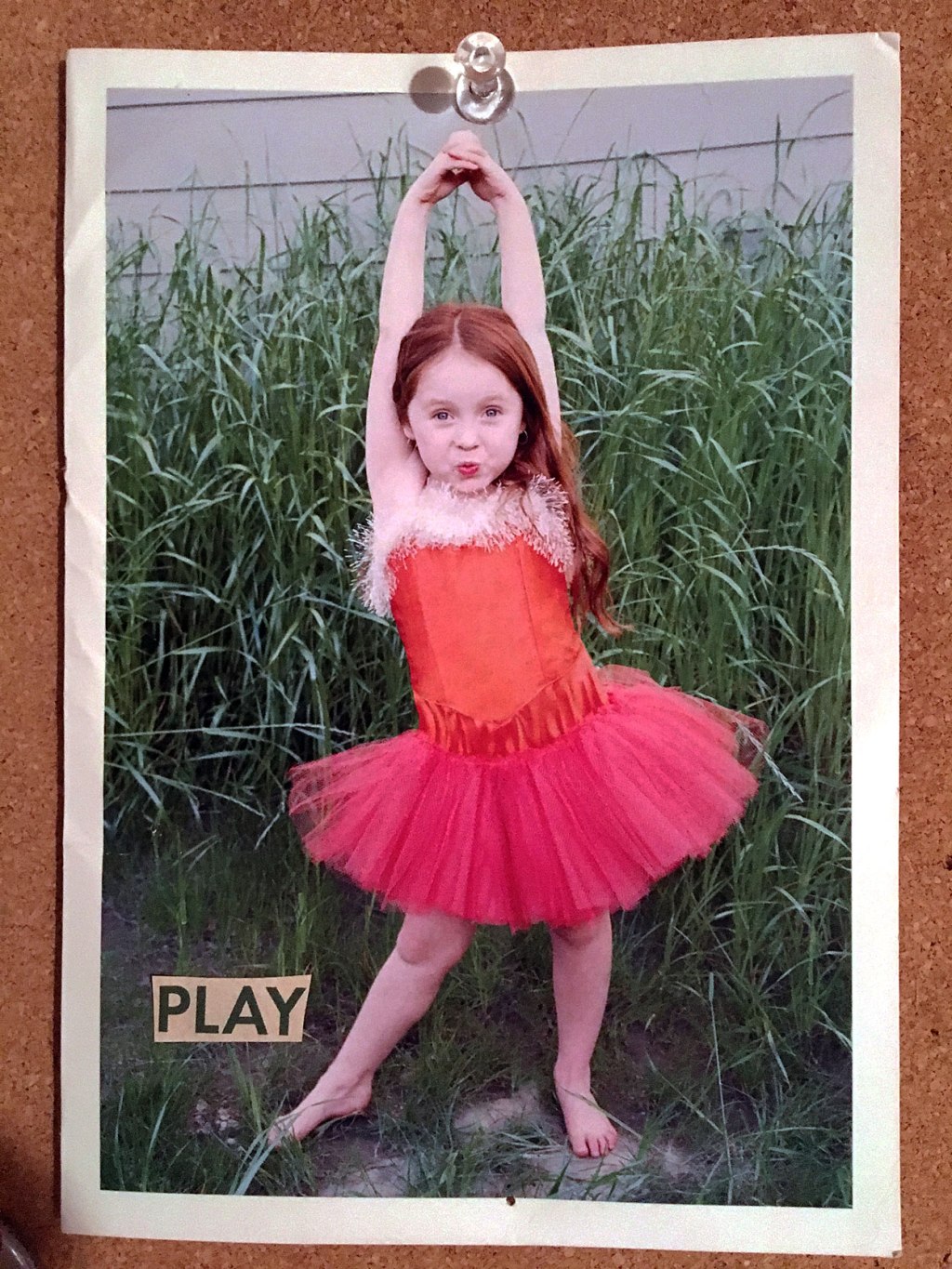 Cultivate Love +&nbsp;Joy