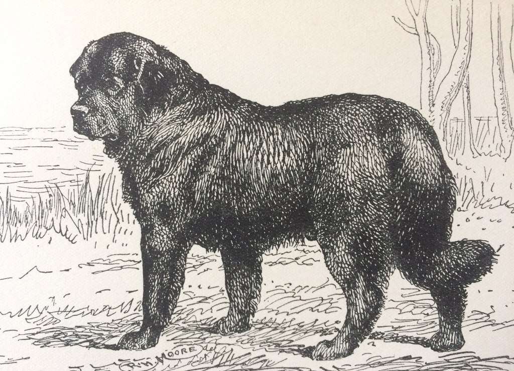 1 – Level&nbsp;Up!