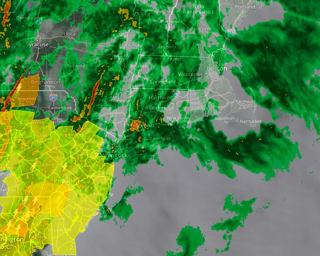 13 – Storm in a&nbsp;Pandemic